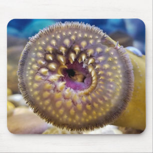 Mund von Sea Lamprey Mousepad