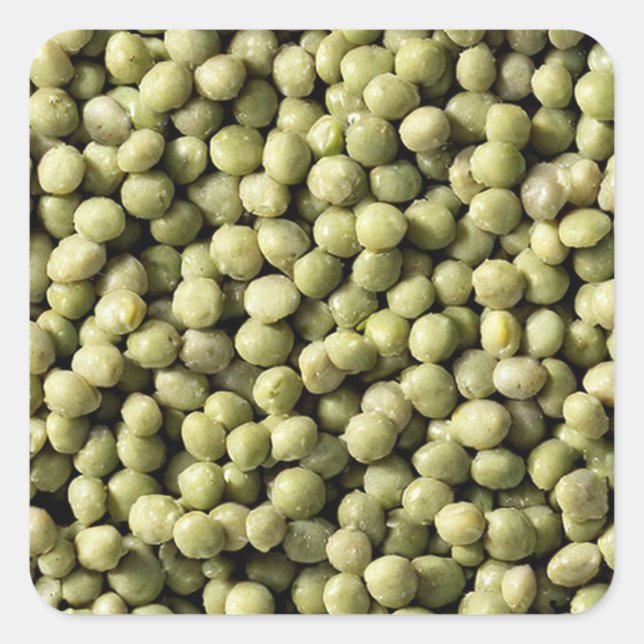 Mung Beans Quadratischer Aufkleber (Vorderseite)
