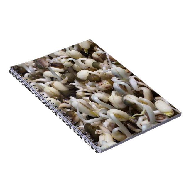 Mung der Bohnen Notizblock (Rechte Seite)