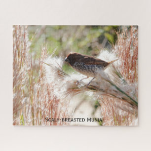 Munia mit Scaly-Brüste; Bird Lover's Puzzle