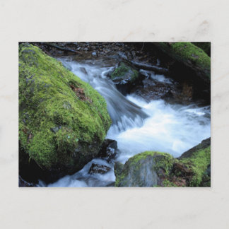 Munson Creek Postcard Postkarte
