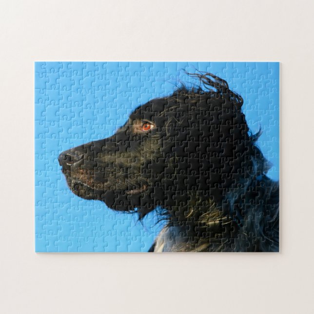 Munsterlander Dog. Puzzle (Horizontal)