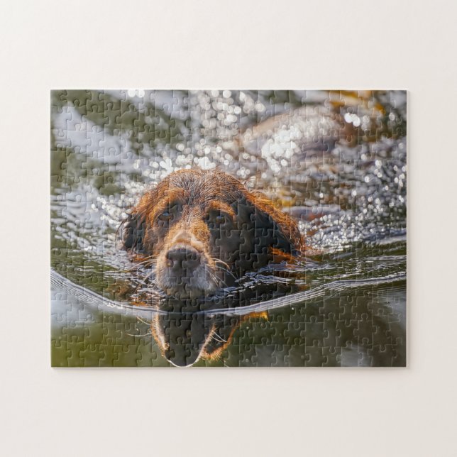 Munsterlander Dog. Puzzle (Horizontal)