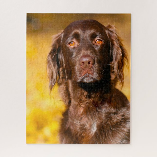 Munsterlander Dog. Puzzle (Vertikal)