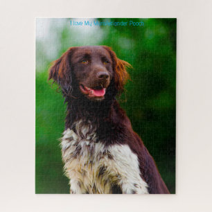 Münsterländer Hund. Puzzle