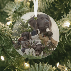 Munsterlander Ornament Aus Glas