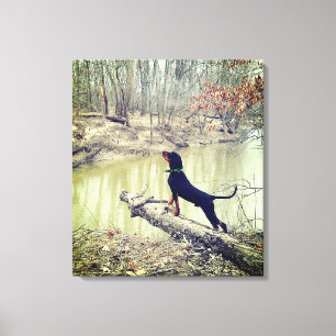 Münzhund an der Leinwand