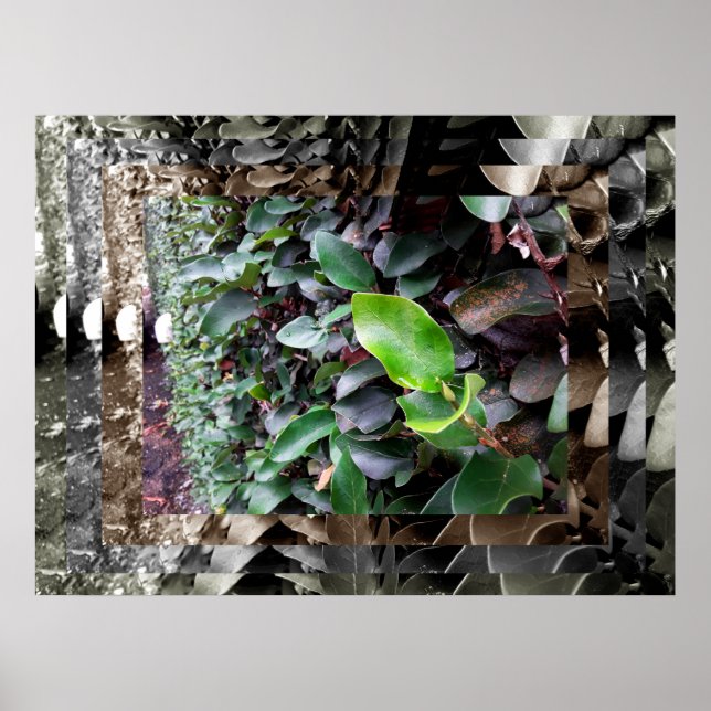 murais poster (Vorne)