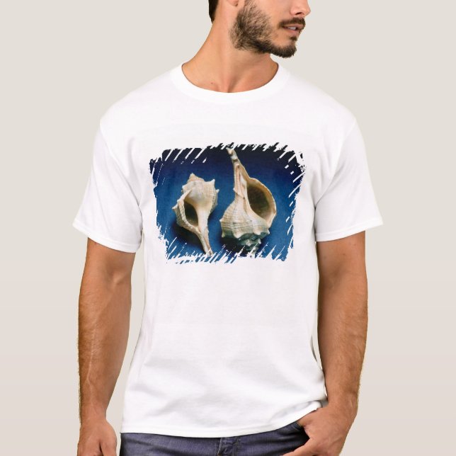Murex-Muschel T-Shirt (Vorderseite)