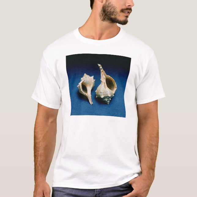 Murex-Muschel T-Shirt (Vorderseite)