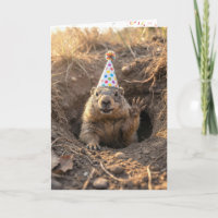 Murmeltier-Geburtstag mit Partyhut