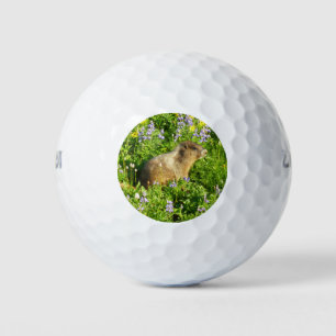 Murmeltier in Mount Rainier Wildblumen Golfball