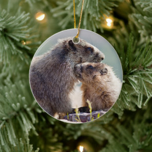 Murmeltiermutter mit Baby Keramik Ornament
