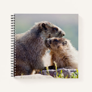 Murmeltiermutter mit Baby Notizbuch