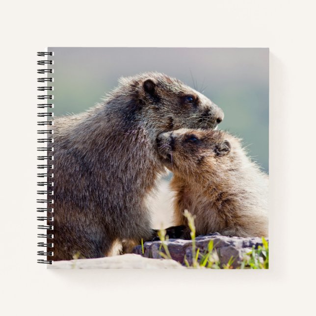 Murmeltiermutter mit Baby Notizbuch (Vorderseite)