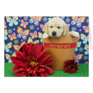 Murphy, Foto der Woche 5