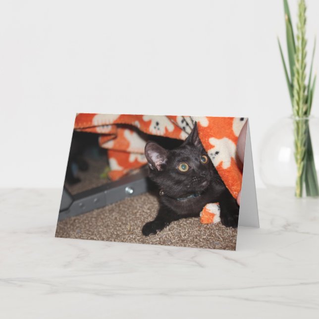 Murphy Karte (Vorderseite)