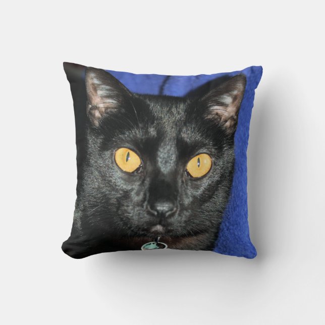 Murphy Kissen (Vorderseite)