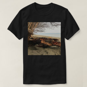 Murphy nimmt einen Flüchtige Blick T-Shirt