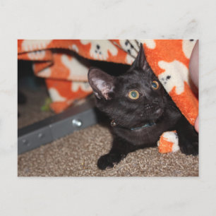 Murphy Postkarte