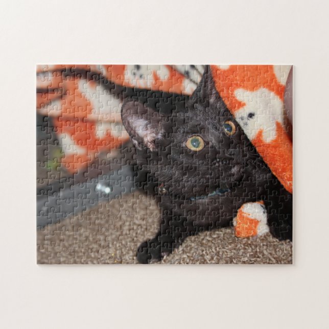 Murphy Puzzle (Horizontal)