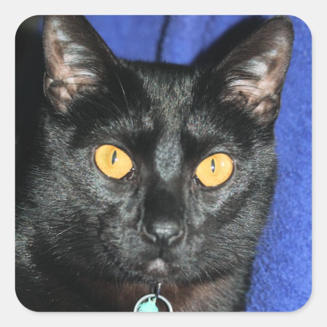 Murphy Quadratischer Aufkleber (Vorderseite)