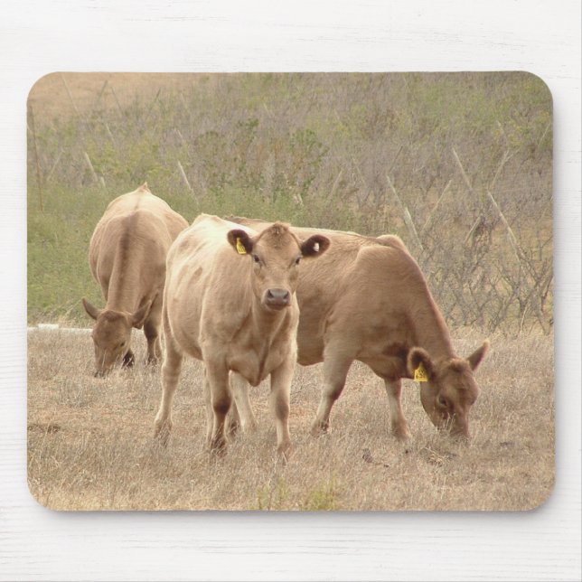 Murray-GrauMausunterlage Mousepad (Vorne)