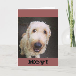 Murray Greeting Card Karte