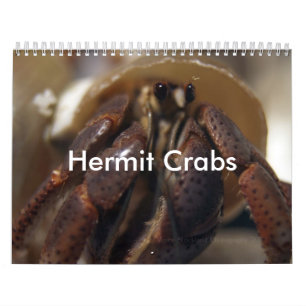 mürrisch, Einsiedlerkrebse Kalender