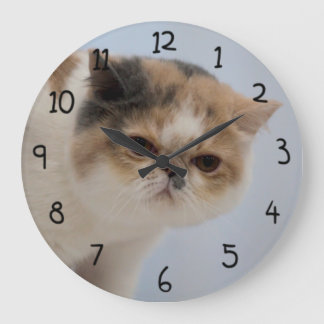 Mürrische Gesichts-Katze Große Wanduhr
