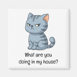 Mürrische Graue Tabby-Katze Lustiger Text Magnet