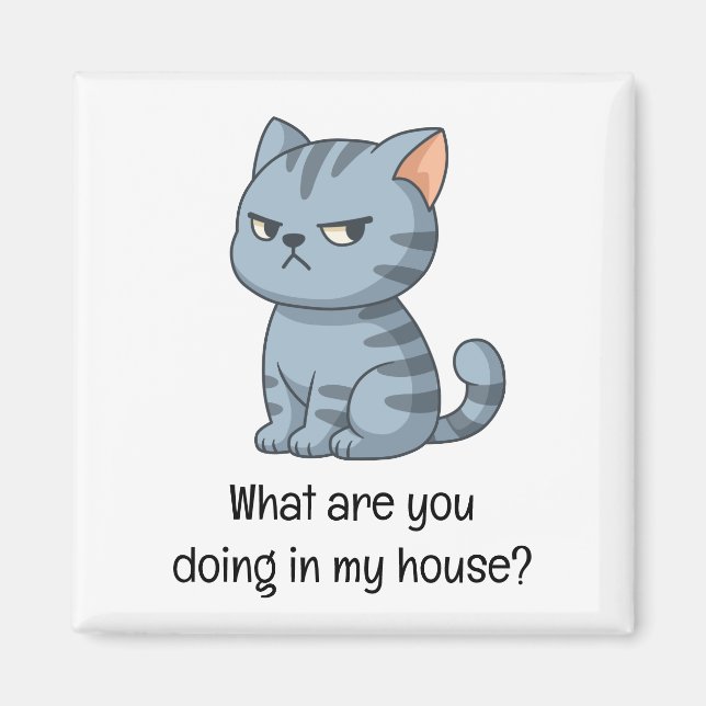 Mürrische Graue Tabby-Katze Lustiger Text Magnet (Vorne)