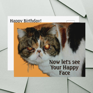 Mürrische Grumpy Cat Exotisch Kurzhaar Perser Postkarte