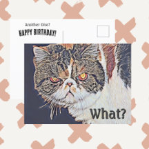 Mürrische Grumpy Cat Lustiger Geburtstag