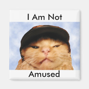 Mürrische Katze Magnet