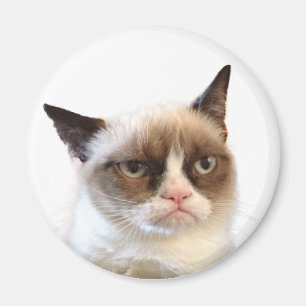 Mürrische Katzen-runder Magnet