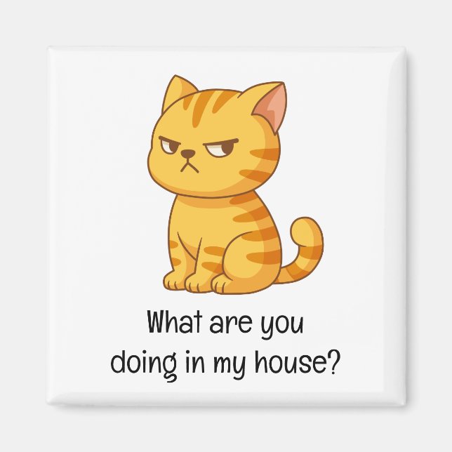 Mürrische orange getigerte Katze lustiger Text Magnet (Vorne)