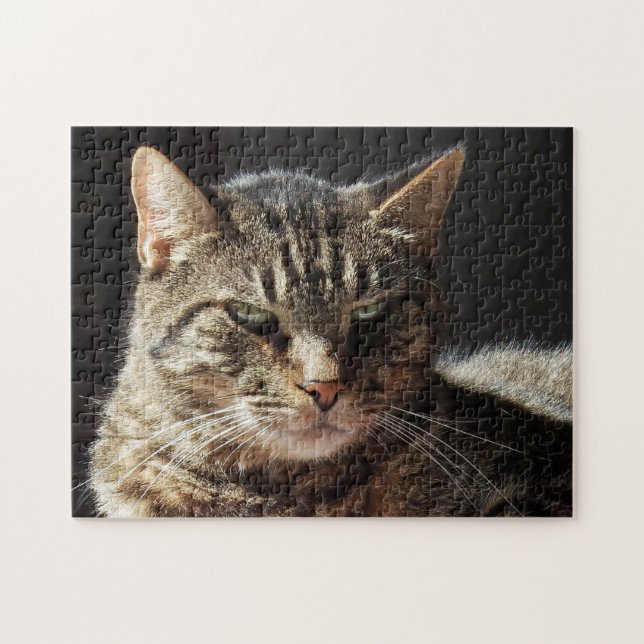 Mürrische Tabby-Katze Puzzle (Horizontal)