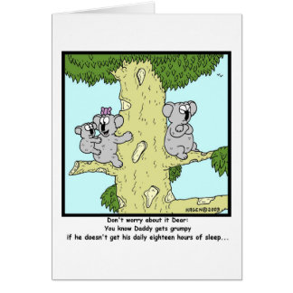 Mürrischer Koala