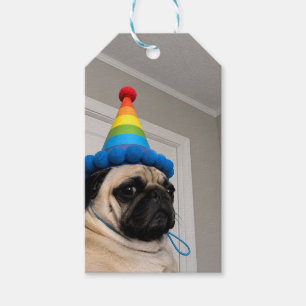 Mürrischer Mops mit Regenbogen-Geburtstagshut Geschenkanhänger