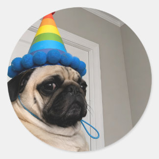 Mürrischer Mops mit Regenbogen-Geburtstagshut Runder Aufkleber