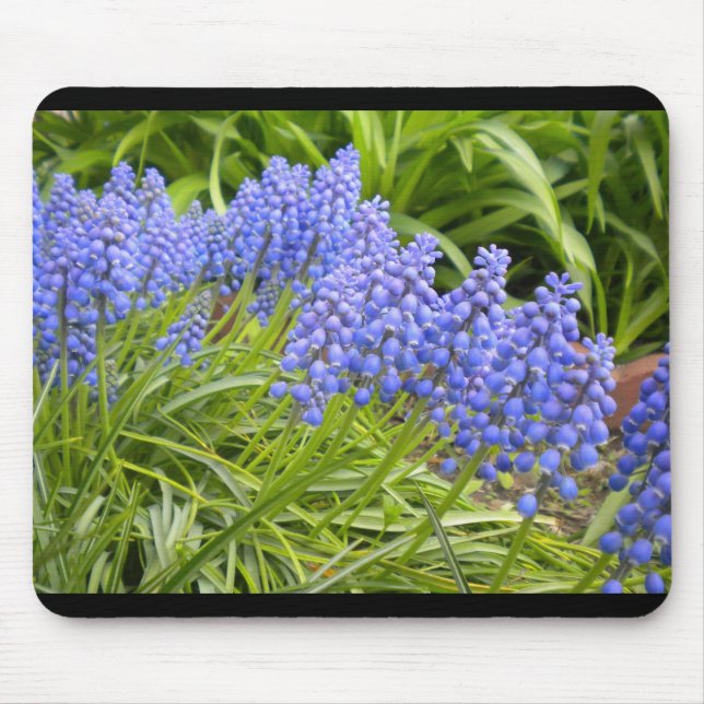 Muscari/Trauben Hyacinth Mouse Pad Mousepad (Vorne)
