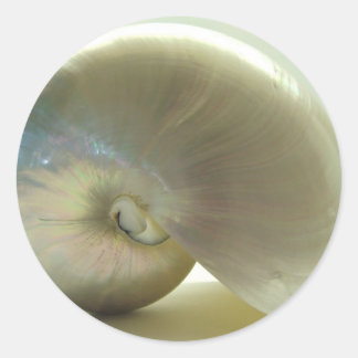 Muschel #1 runder aufkleber