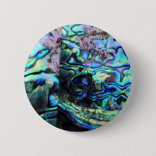 Muschel Abalone paua Button (Vorderseite)