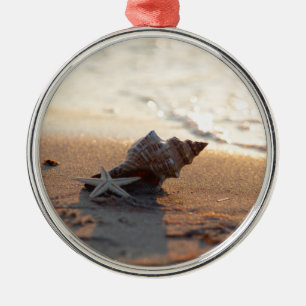 Muschel am Meer Ornament Aus Metall