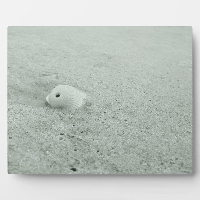 Muschel am Sandstrand Fotoplatte (Vorderseite)