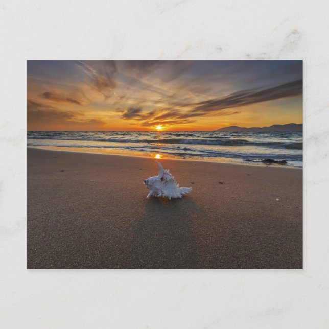 Muschel am Strand bei Sonnenuntergang | Insel Kos Postkarte (Vorderseite)