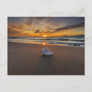 Muschel am Strand bei Sonnenuntergang   Insel Kos Postkarte