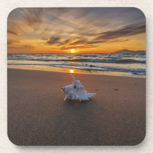Muschel am Strand in Insel des Sonnenuntergang-  Getränkeuntersetzer
