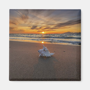 Muschel am Strand in Insel des Sonnenuntergang- Magnet